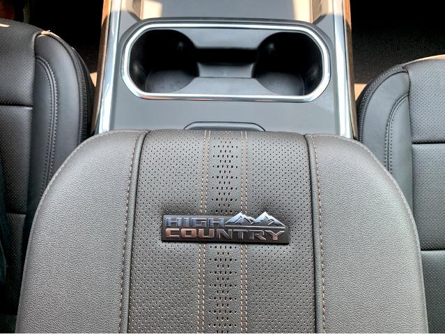 2025 Chevrolet Silverado 2500 HD Vehicle Photo in BEAUFORT, SC 29906-4218
