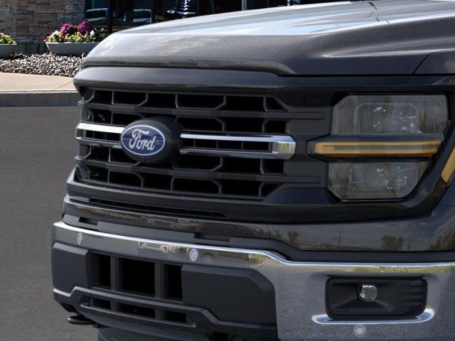 2025 Ford F-150 Vehicle Photo in Weatherford, TX 76087
