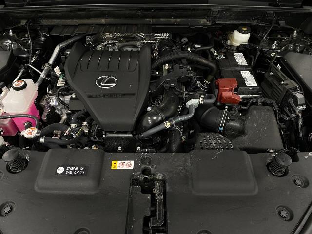 2025 Lexus NX 350 Vehicle Photo in Appleton, WI 54913