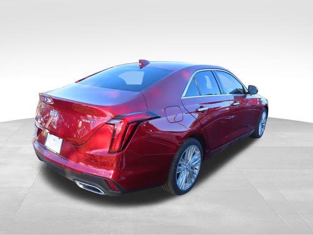 2025 Cadillac CT4 Vehicle Photo in DELRAY BEACH, FL 33483-3294