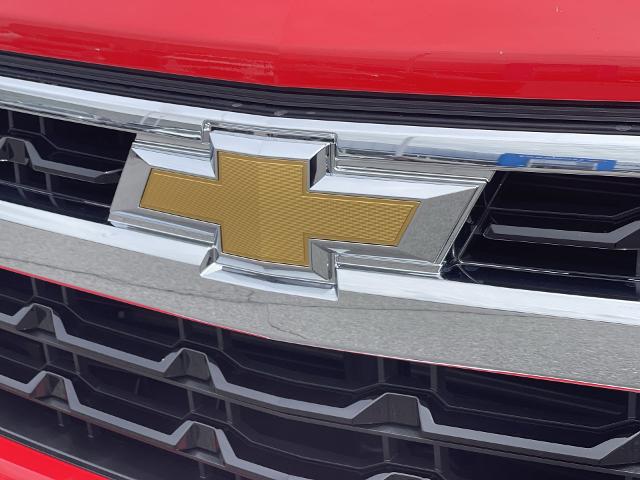 2024 Chevrolet Silverado 1500 Vehicle Photo in BENTONVILLE, AR 72712-4322