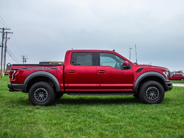 2019 Ford F-150 Vehicle Photo in MADISON, IN 47250-1611
