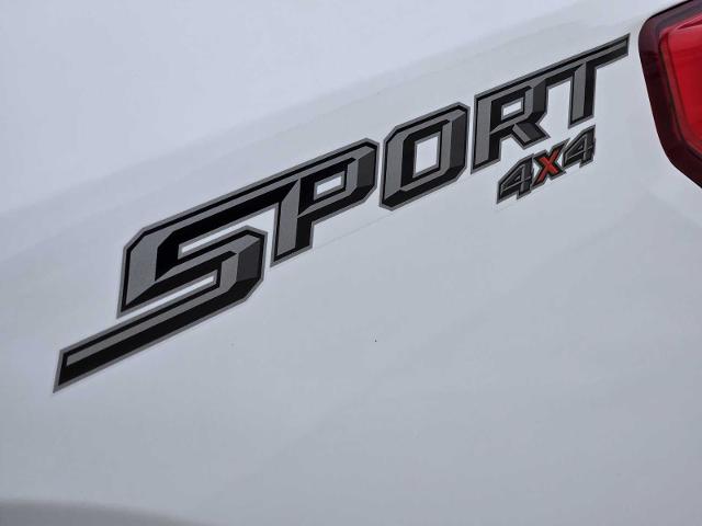 2019 Ford F-150 Vehicle Photo in DENTON, TX 76210-9321