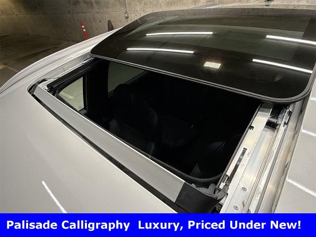 2025 Hyundai Palisade Vehicle Photo in EVERETT, WA 98203-5662