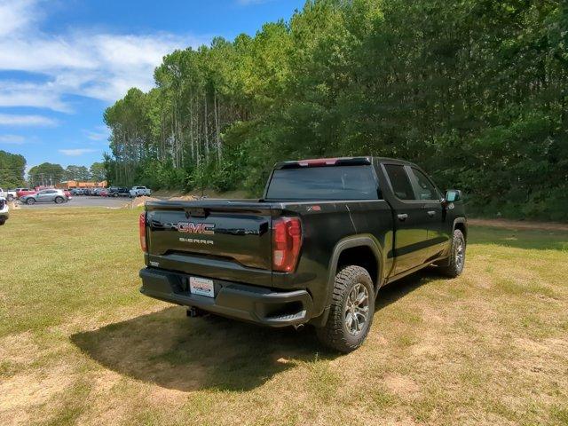 2024 GMC Sierra 1500 Vehicle Photo in ALBERTVILLE, AL 35950-0246