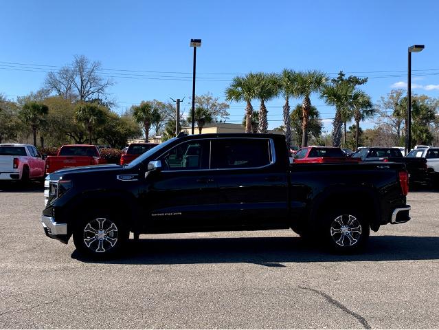 2025 GMC Sierra 1500 Vehicle Photo in BEAUFORT, SC 29906-4218