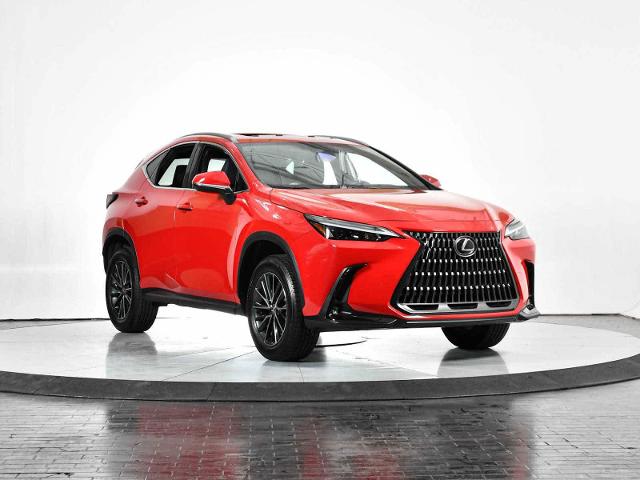 2024 Lexus NX 250 Vehicle Photo in DALLAS, TX 75235