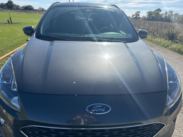 2020 Ford Escape Vehicle Photo in Pilot Point, TX 76258