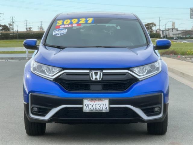 2022 Honda CR-V Vehicle Photo in PITTSBURG, CA 94565-7121