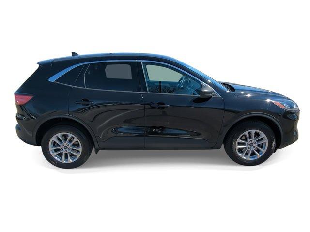 2022 Ford Escape Vehicle Photo in COLLIERVILLE, TN 38017-9006