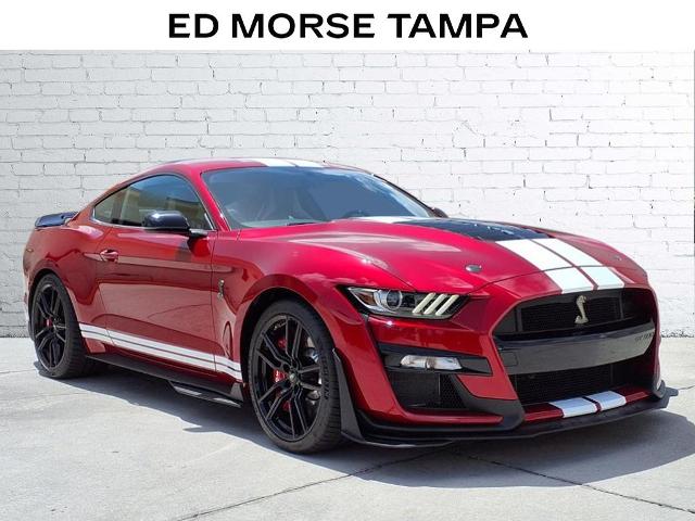 2021 Ford Mustang Vehicle Photo in Tampa, FL 33612