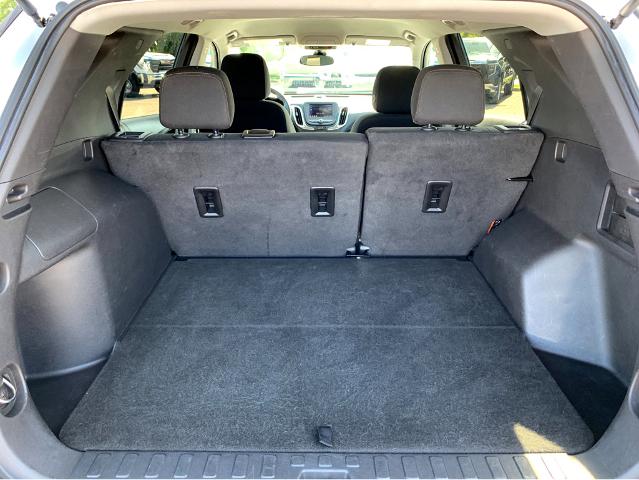 2023 Chevrolet Equinox Vehicle Photo in BEAUFORT, SC 29906-4218
