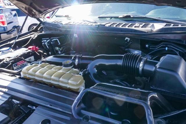 2020 Ford F-150 Vehicle Photo in VENTURA, CA 93003-8585