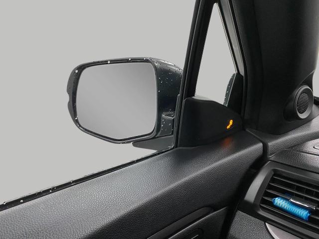 2023 Honda Passport Vehicle Photo in Appleton, WI 54913
