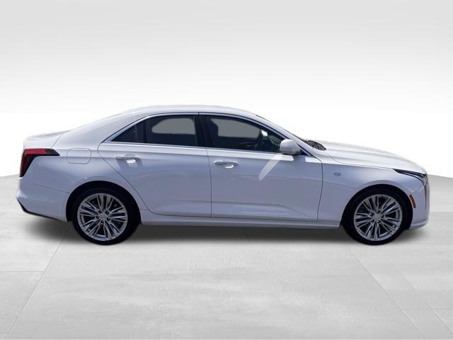 2021 Cadillac CT4 Vehicle Photo in DELRAY BEACH, FL 33483-3294