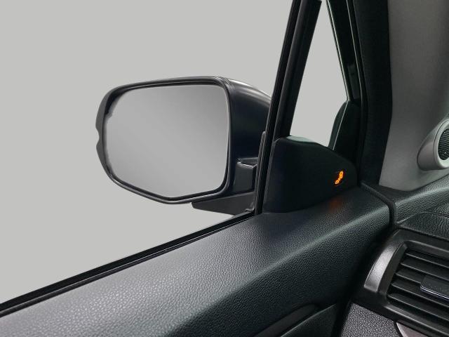 2022 Honda Pilot Vehicle Photo in Appleton, WI 54913