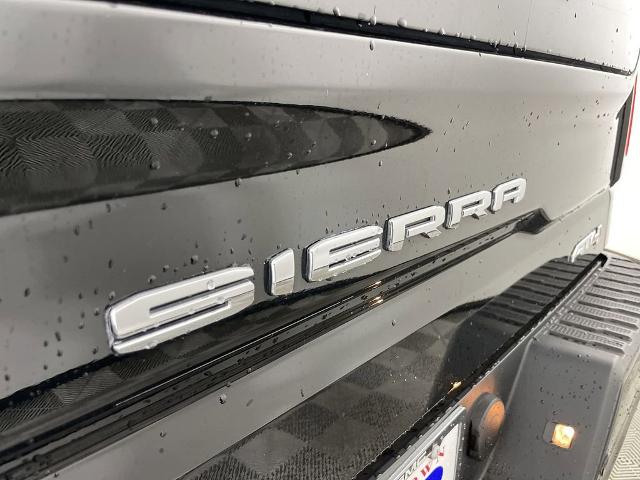 2019 GMC Sierra 1500 Vehicle Photo in GILBERT, AZ 85297-0402