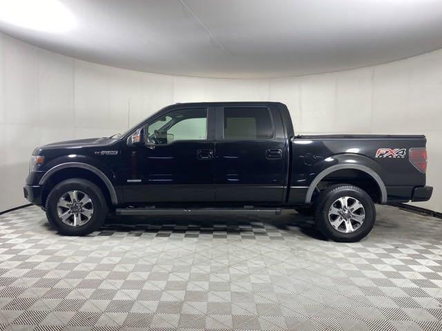 2013 Ford F-150 Vehicle Photo in MEDINA, OH 44256-9001