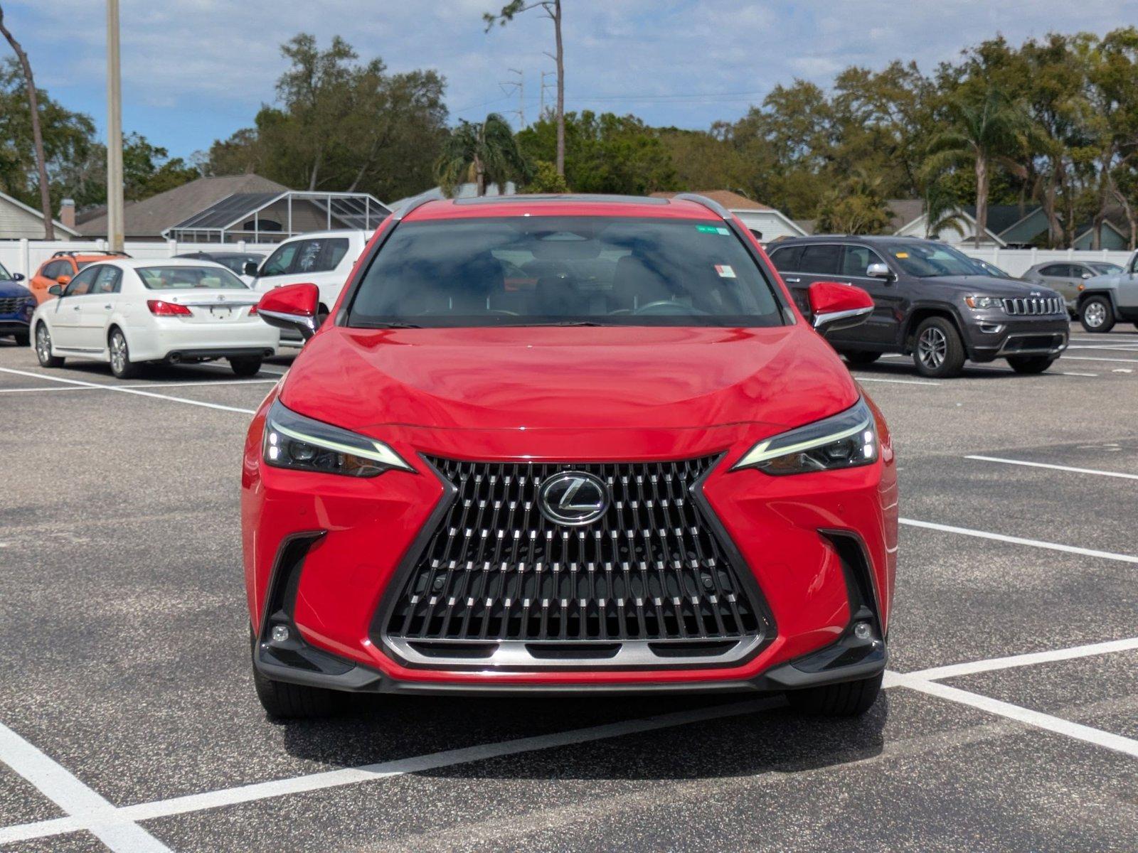 2022 Lexus NX 250 Vehicle Photo in Clearwater, FL 33761