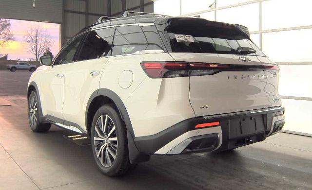 2024 INFINITI QX60 Vehicle Photo in DALLAS, TX 75209