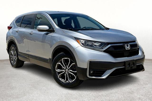 2020 Honda CR-V Vehicle Photo in San Antonio, TX 78230
