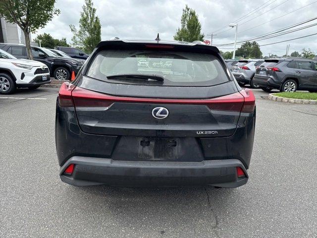 2020 Lexus UX 250h Vehicle Photo in Flemington, NJ 08822