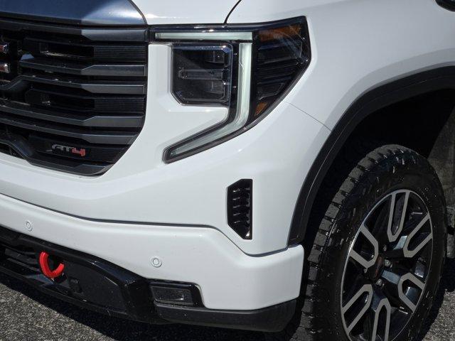 2024 GMC Sierra 1500 Vehicle Photo in Decatur, TX 76234