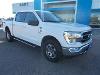 Used 2023 Ford F-150 XLT with VIN 1FTFW1E80PKE03312 for sale in Dalhart, TX