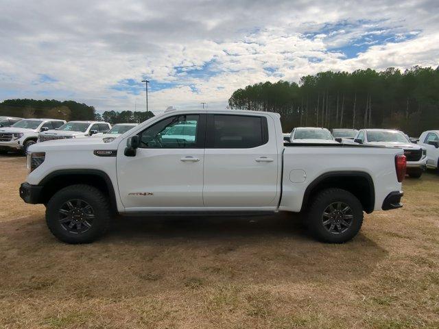 2025 GMC Sierra 1500 Vehicle Photo in ALBERTVILLE, AL 35950-0246