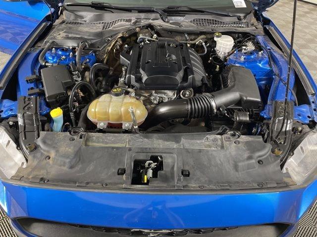 2019 Ford Mustang Vehicle Photo in PHOENIX, AZ 85014-3381