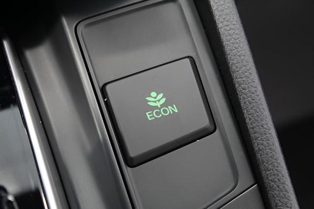 2018 Honda CR-V Vehicle Photo in Green Bay, WI 54304