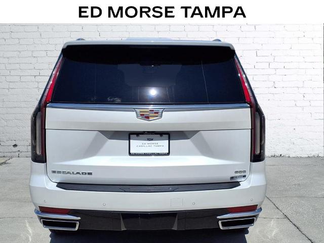2022 Cadillac Escalade Vehicle Photo in Tampa, FL 33612
