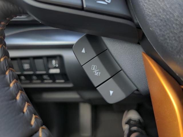 2025 Subaru Forester Vehicle Photo in Green Bay, WI 54304