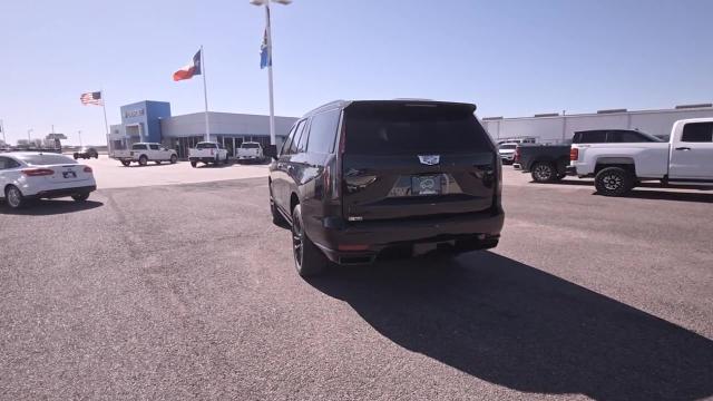 2024 Cadillac Escalade Vehicle Photo in NEDERLAND, TX 77627-8017