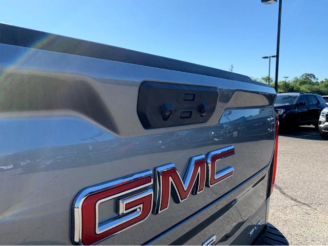 2025 GMC Sierra 1500 Vehicle Photo in BEAUFORT, SC 29906-4218