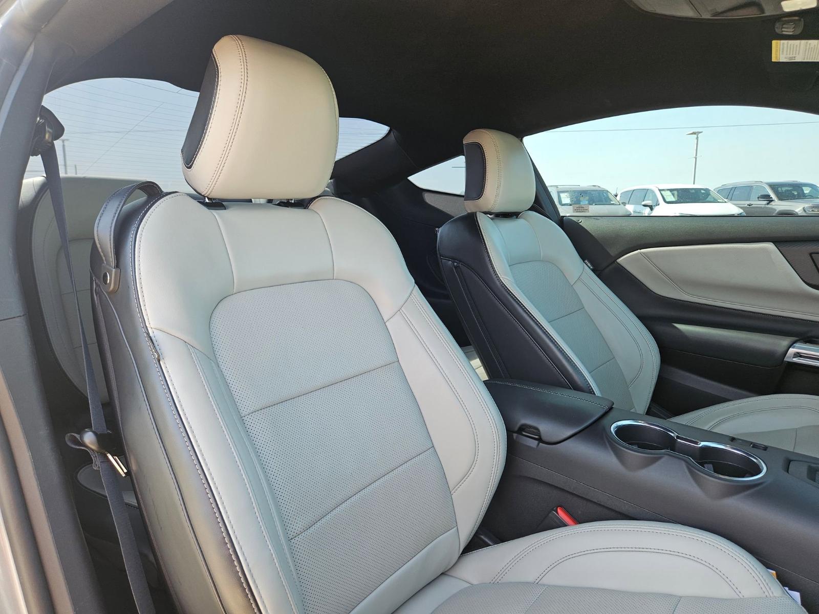 2024 Ford Mustang Vehicle Photo in Seguin, TX 78155