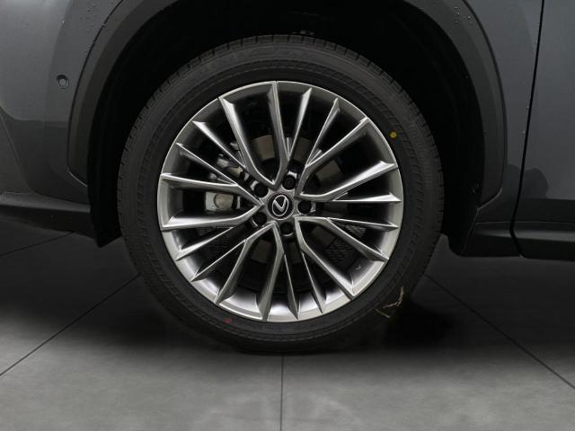 2025 Lexus NX 350 Vehicle Photo in Appleton, WI 54913