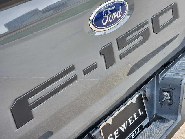 2021 Ford F-150 Vehicle Photo in PLANO, TX 75024