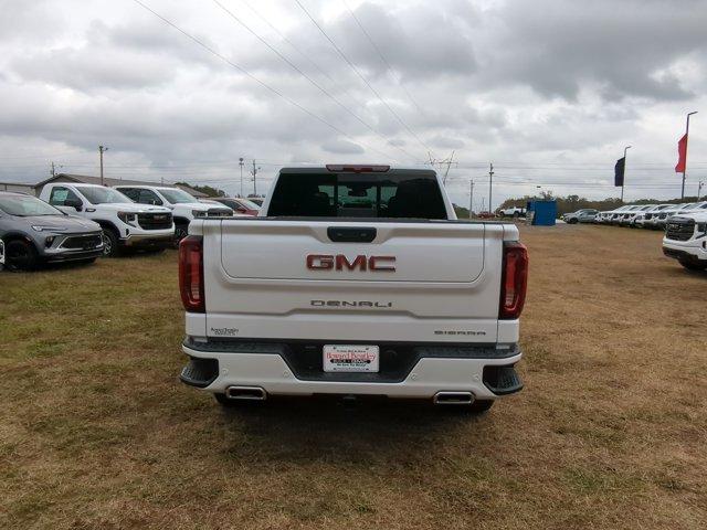 2025 GMC Sierra 1500 Vehicle Photo in ALBERTVILLE, AL 35950-0246