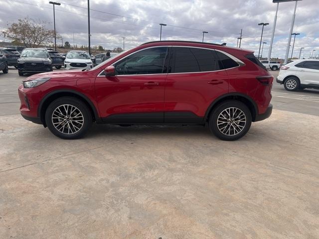 2024 Ford Escape Vehicle Photo in Winslow, AZ 86047-2439