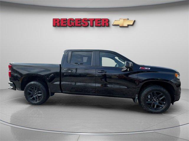 2025 Chevrolet Silverado 1500 Vehicle Photo in THOMPSONTOWN, PA 17094-9014