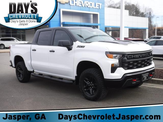 2024 Chevrolet Silverado 1500 Vehicle Photo in JASPER, GA 30143-8655