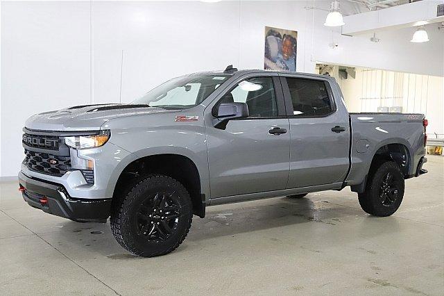 2025 Chevrolet Silverado 1500 Vehicle Photo in MEDINA, OH 44256-9001