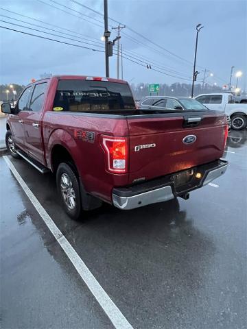 2016 Ford F-150 Vehicle Photo in ALCOA, TN 37701-3235