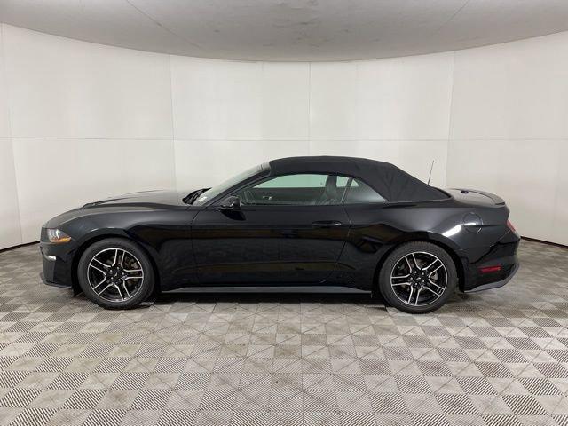 2022 Ford Mustang Vehicle Photo in PHOENIX, AZ 85014-3381