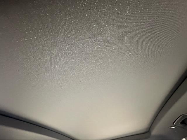 2025 Audi SQ5 Vehicle Photo in HOUSTON, TX 77090