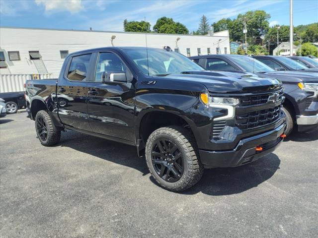 2024 Chevrolet Silverado 1500 Vehicle Photo in INDIANA, PA 15701-1897