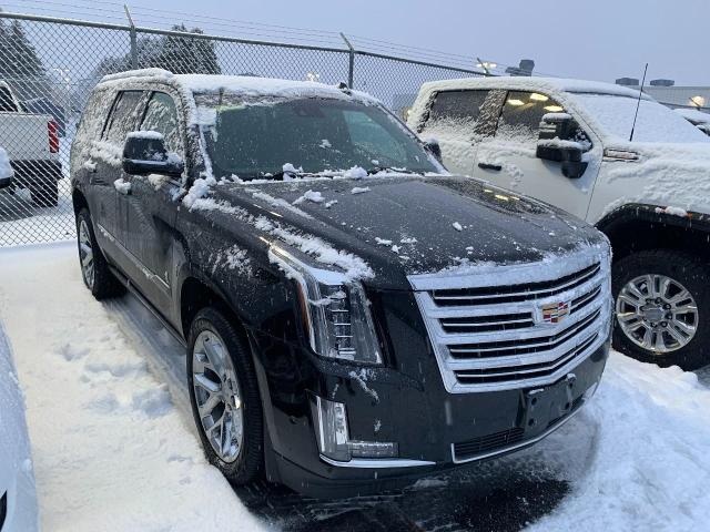 2019 Cadillac Escalade Vehicle Photo in APPLETON, WI 54914-4656