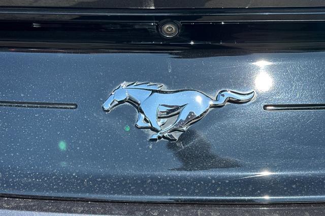 2018 Ford Mustang Vehicle Photo in SPOKANE, WA 99202-2191