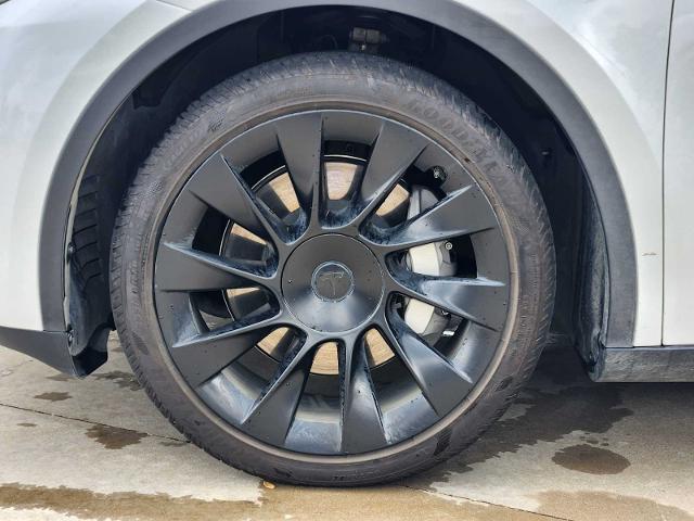 2023 Tesla Model Y Vehicle Photo in HOUSTON, TX 77079